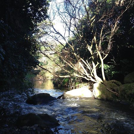 Punehu Stream Cottage Opunake Bagian luar foto